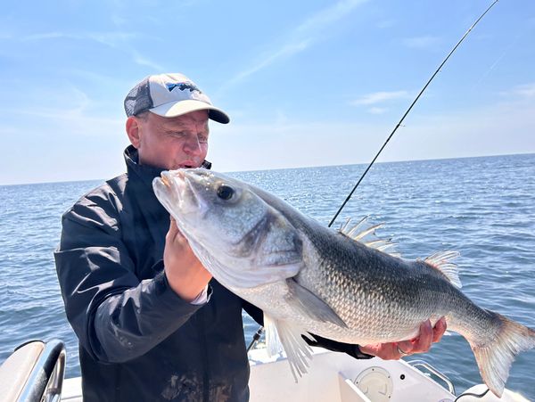 This was our best bass of 2024 - 81cm - 12.4lb