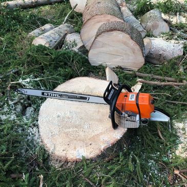 Trädvård, fällning, arborist, beskärning, trädfällning Borlänge Falun Dalarna
