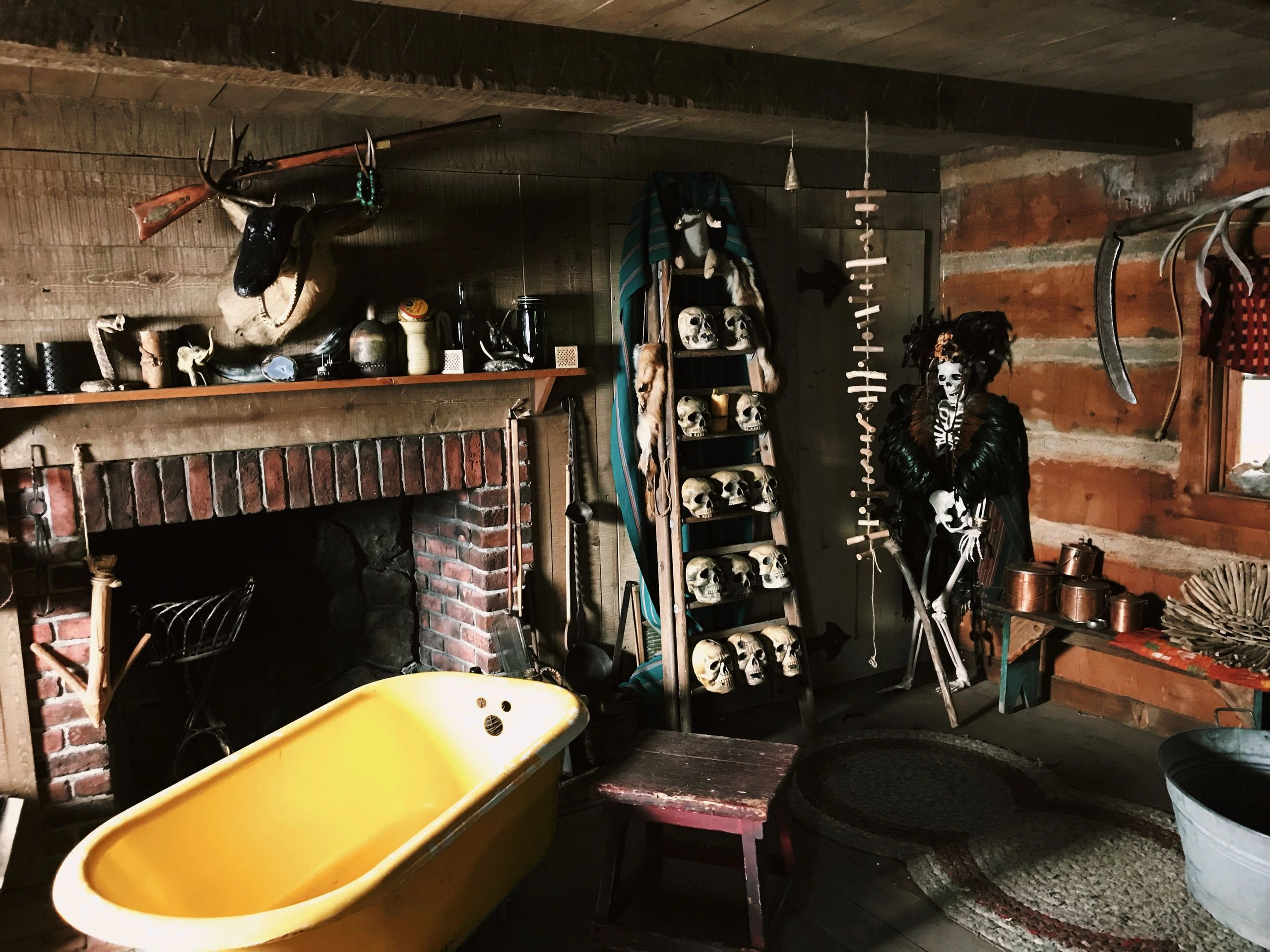Rustic room with skulls, taxidermy, and a yellow bathtub.