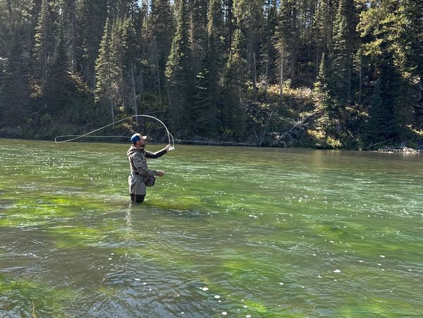 Man fly fishing in a clear river surrounded by forest.
