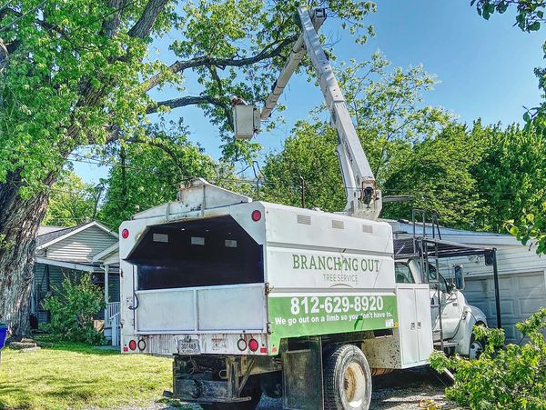 Branching Out Tree Service bucket truck performing professional tree pruning in Newburgh Indiana