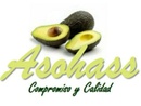 Asociacion Productores De Aguacate Y Otros Cultivos De Marinilla