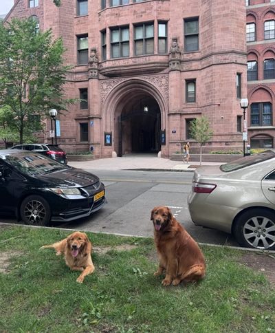 This is Parker and Coop in front of Yale University where no, I did not attend but we visted this su