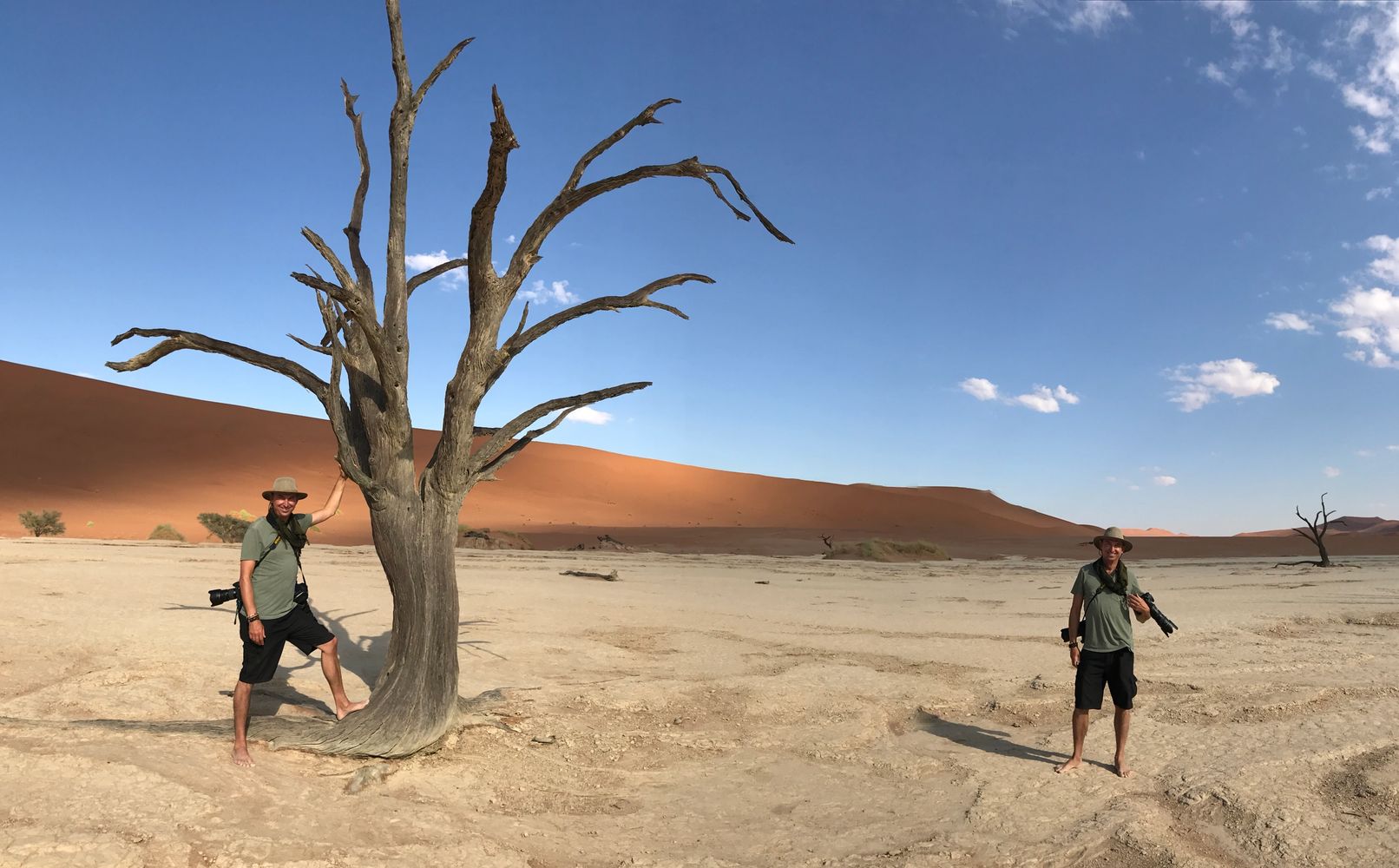 Deadvlei  
Sossusvlei Namib-Naukluft Park Namibia
2017

