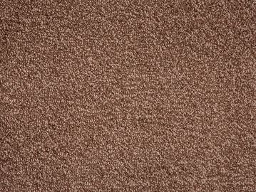 Oak SBC Carpets