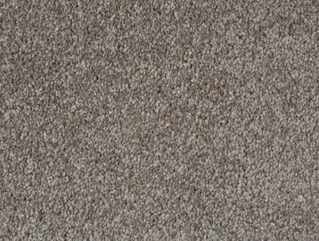 Wild Mushroom SBC Carpets