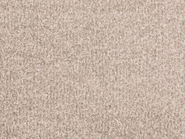 Steam SBC Carpets