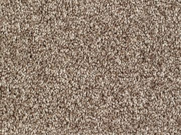 camel sbc carpets