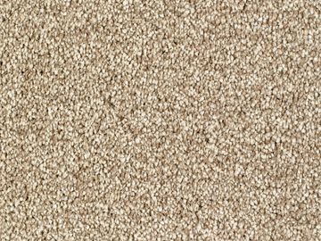 caramel sbc carpets