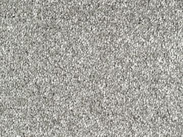 silver sbc carpets