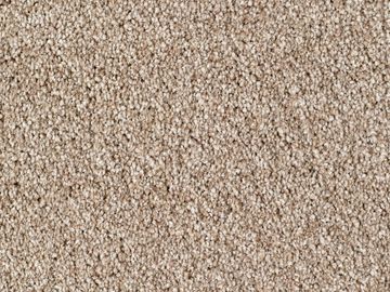 beige sbc carpets