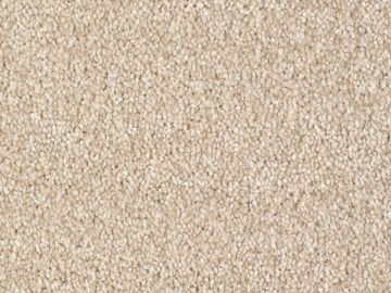 beige sbc carpets