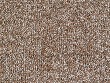 Beige sbc carpets