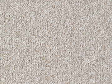 cream sbc carpets