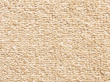 restful sbc carpets