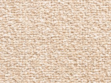 warm sbc carpets