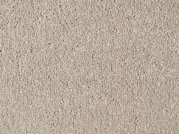 beige sbc carpets