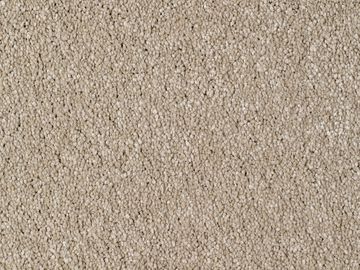 biscuit sbc carpets