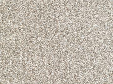 alverton sbc carpets