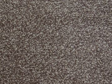 belton sbc carpets