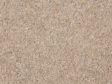 Ash SBC Carpets