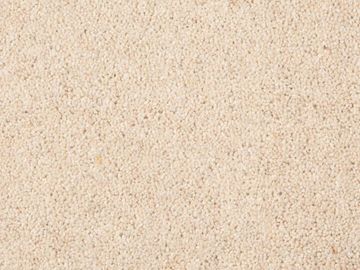 Heavy Cream SBC Carpets