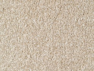 Cream sbc carpets