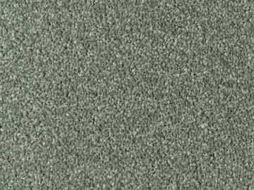 Sage sbc carpets