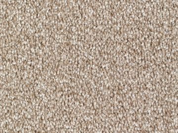 biscuit sbc carpets