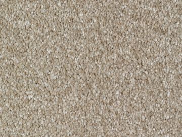 wheat sbc carpets