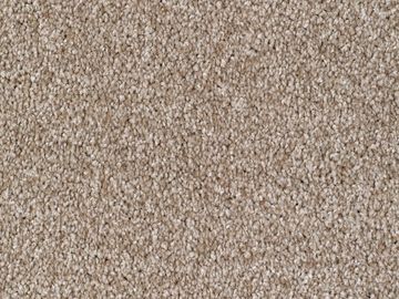 beige sbc carpets