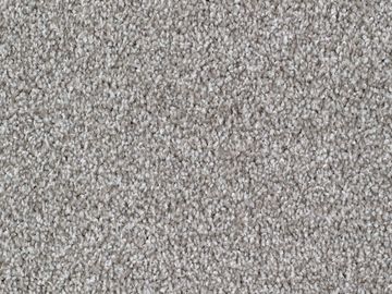 platinum sbc carpets