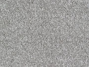 silver sbc carpets