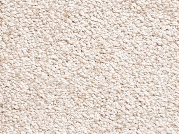 sandlewood sbc carpets