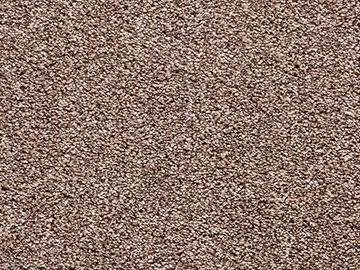 pinecone sbc carpets