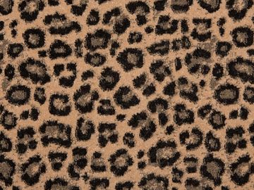 javan jag sbc carpets