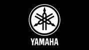 We work on Yamaha!