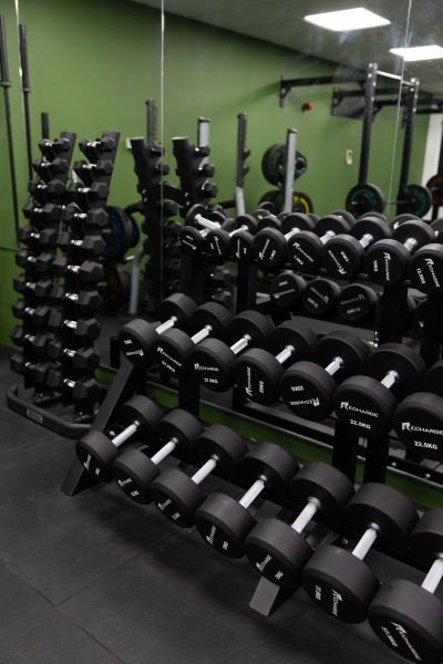 Rows of black dumbbells in a gym setup.
