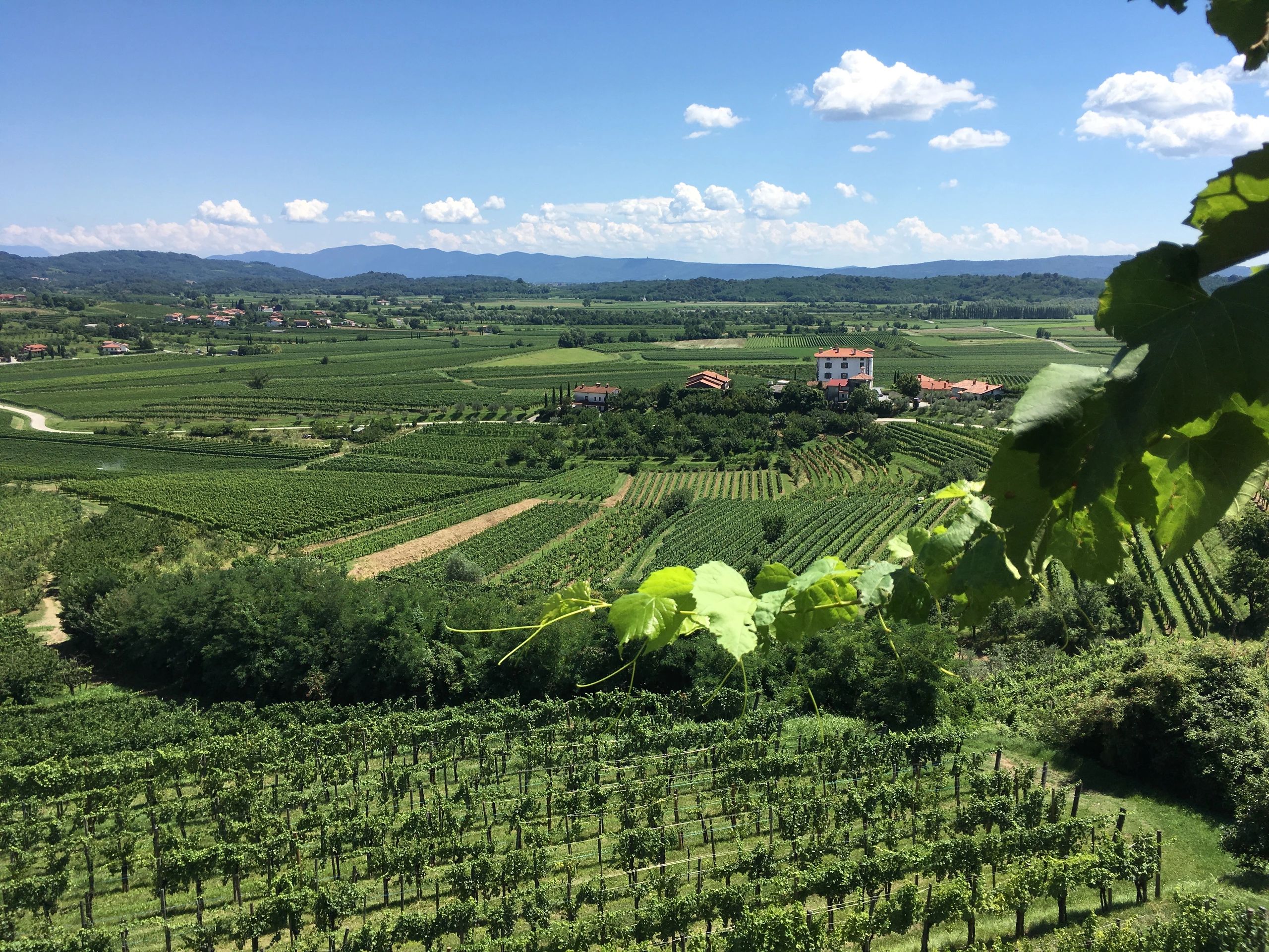 Stephanie Earthman Baird