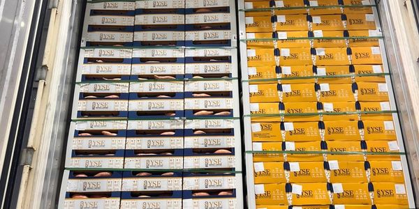 Stacks of boxes labeled 'NYSE' in blue and orange colors.