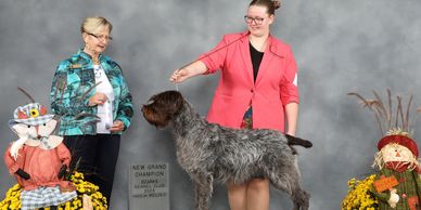Dinah earns Grand Championship in November 2025