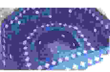 image236
