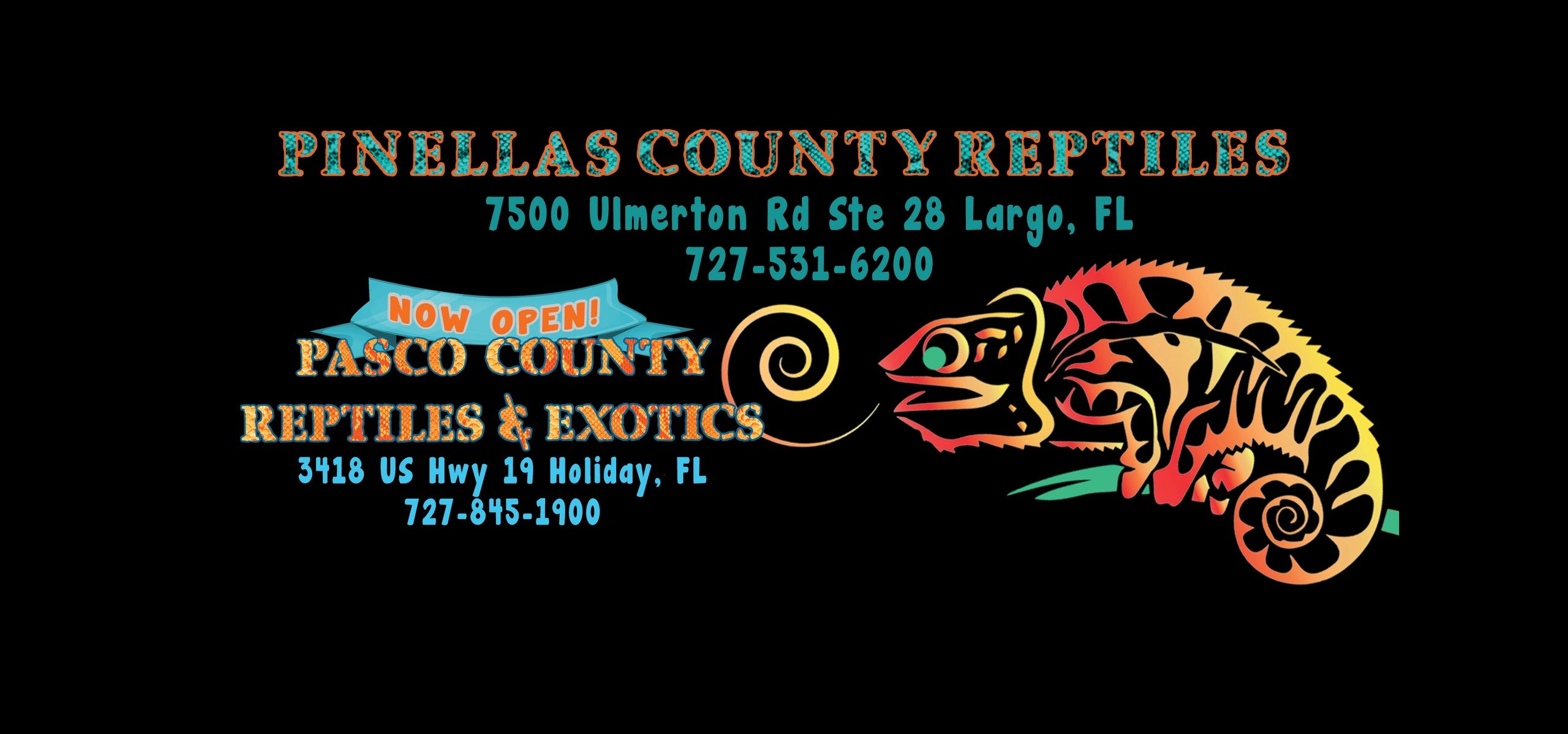 Pasco County Reptiles and Exotics