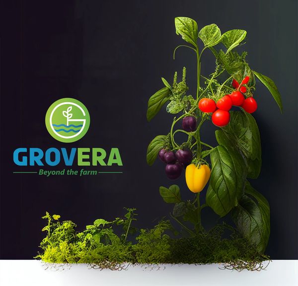Grovera's Nutrient rich Vines.