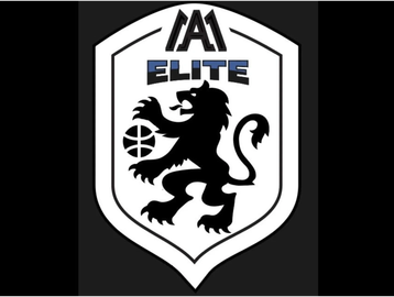 Black lion holding a basketball in a logo shield.