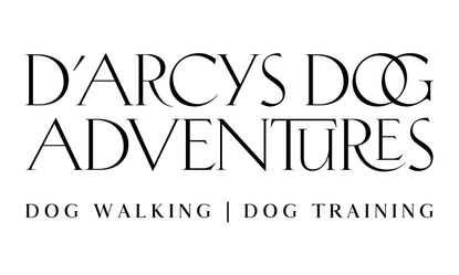 D'ARCYS DOG ADVENTURES