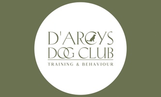 D'ARCYS DOG ADVENTURES