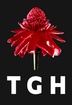 TGH 
Torch Ginger Homestay