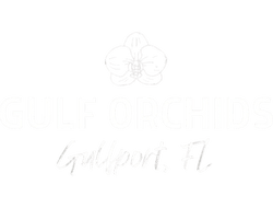 Gulf Orchids