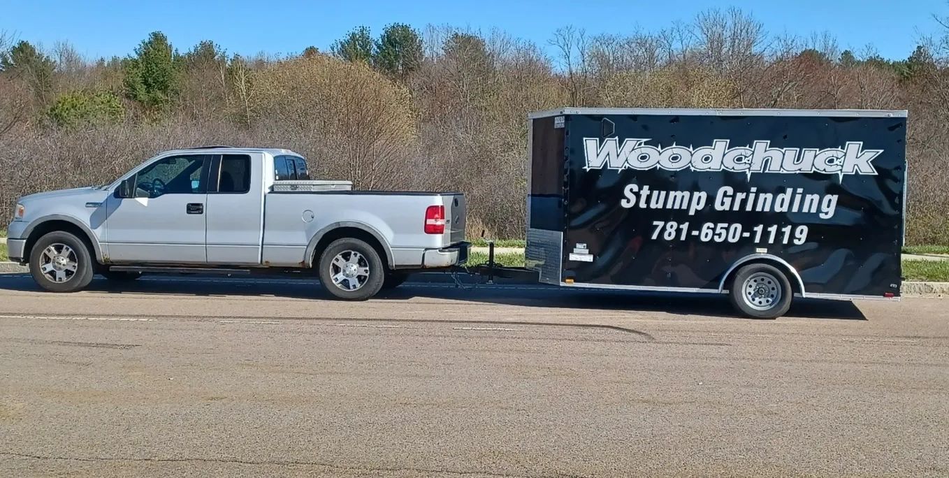 Photo of Ford pickup truck and black trailer. Woodchuck Stump Grinding ready to remove that stump.